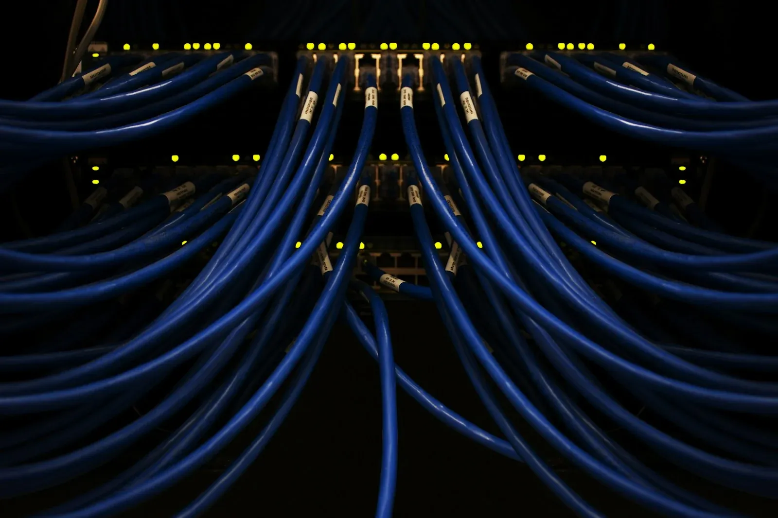 Blue network patch cables connected to a row of ports