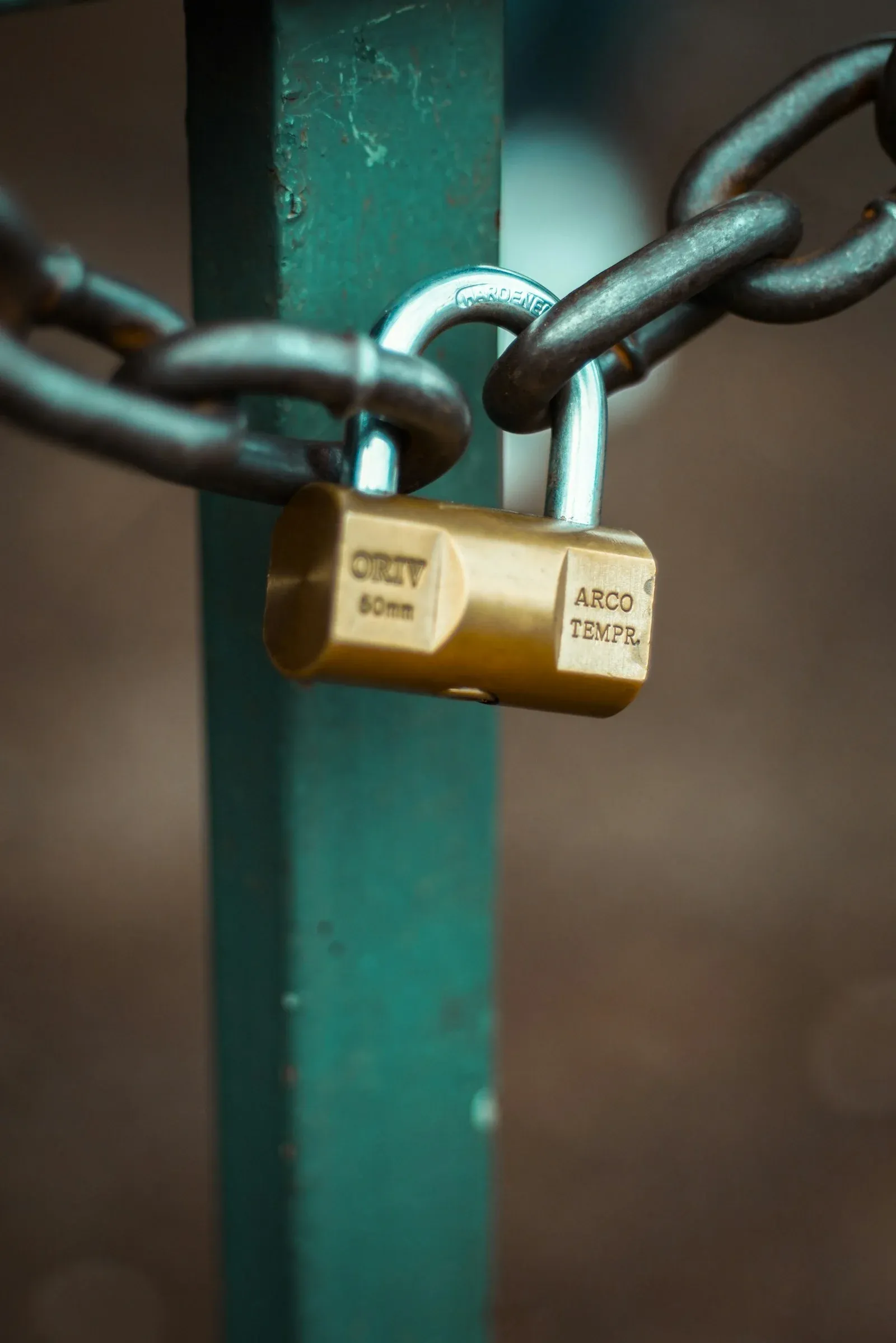 A brass padlock securing a painted metal gate