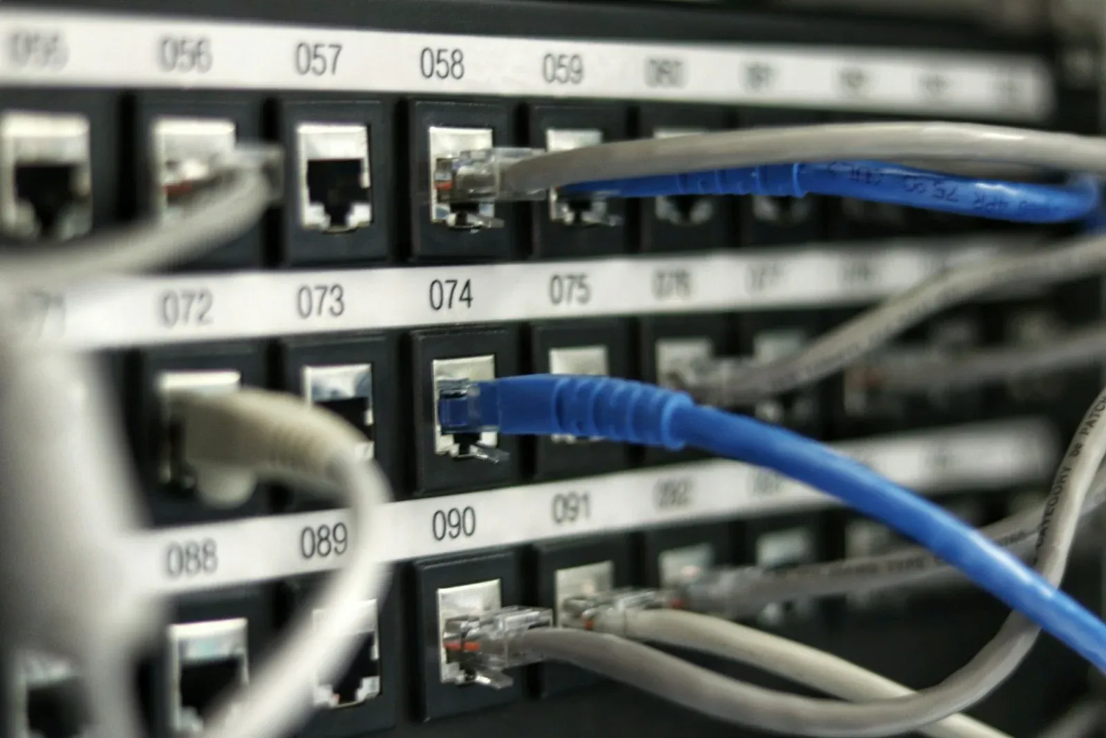 A blue Ethernet cable connected to a numbered network patch panel