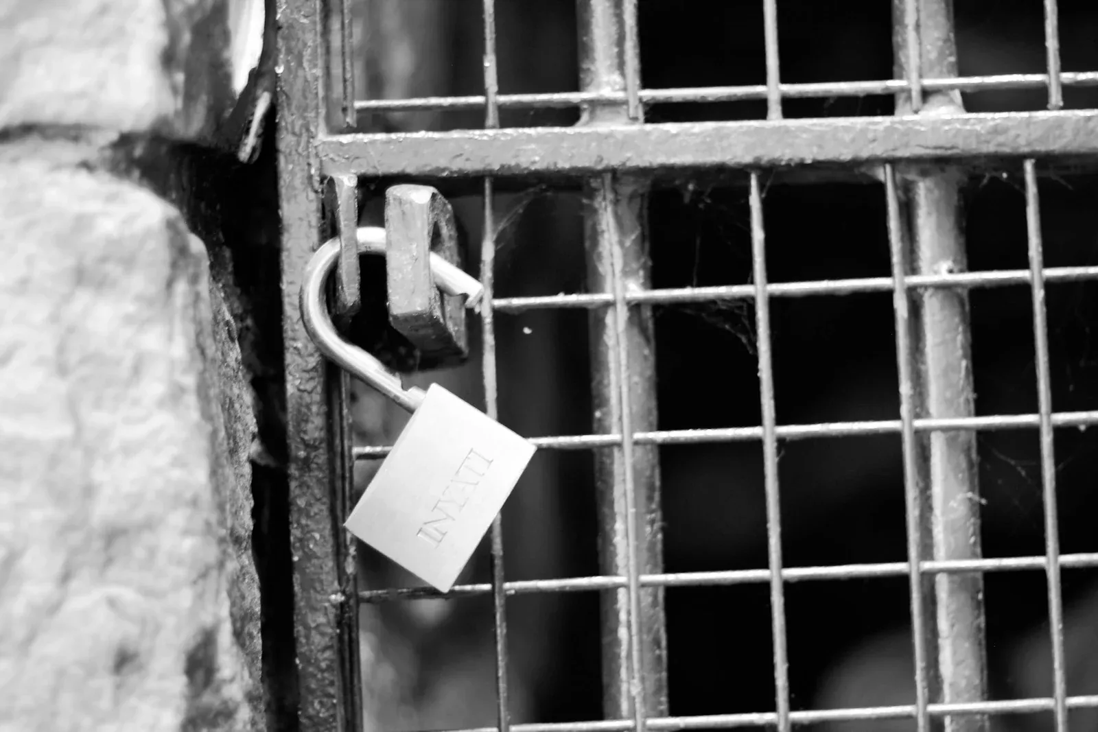 A metal padlock fastened to a wire gate