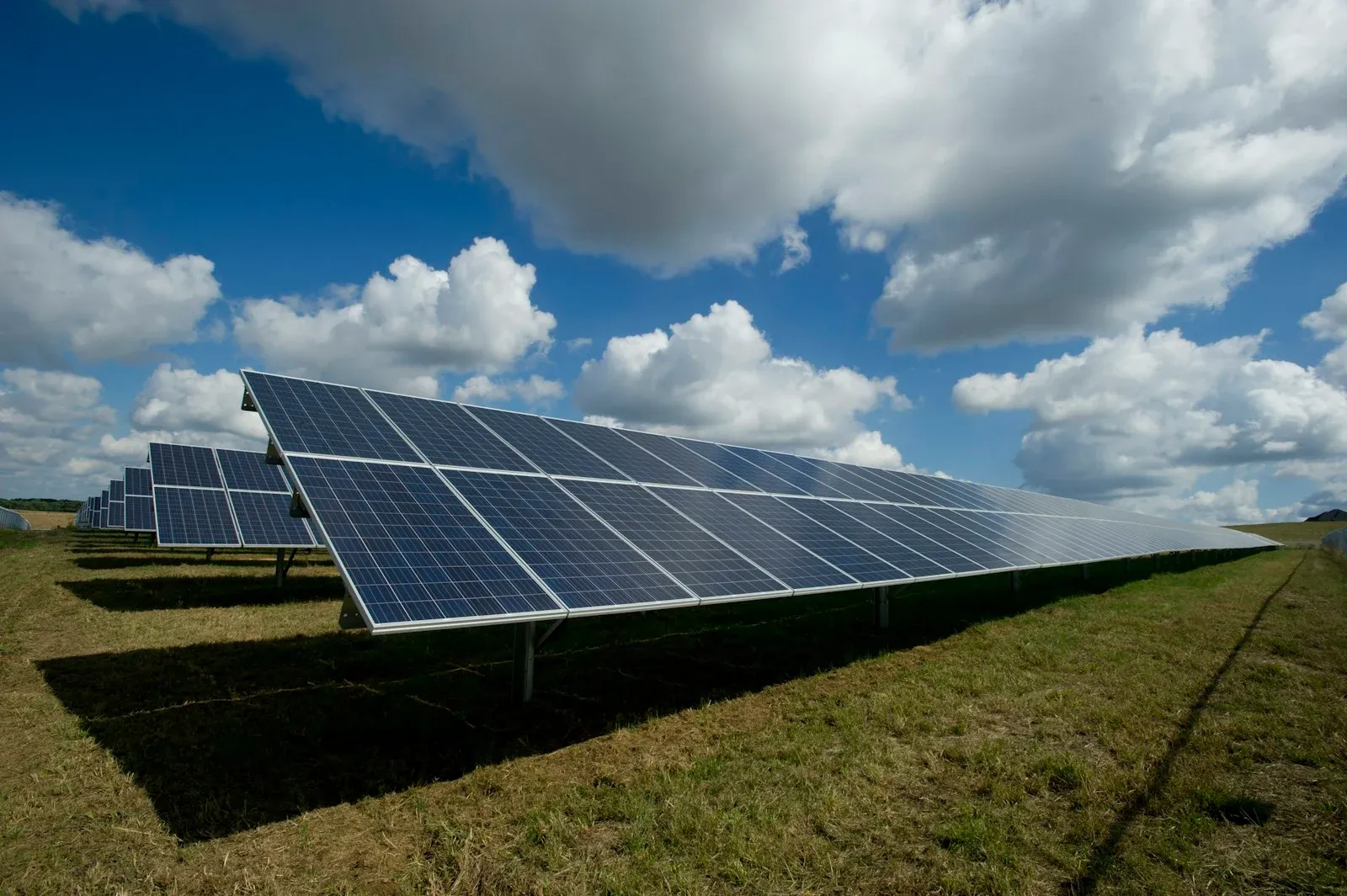 Rows of solar panels in a field beneath a blue sky